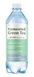 Fermented.jpg