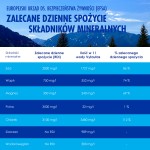 VYTAUTAS Naturalna litewska woda mineralna gaz.1,5L PET Z KAUCJĄ