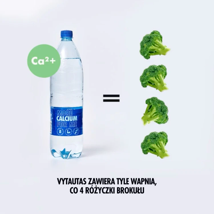 VYTAUTAS litewska woda mineralna gaz.1,0L PET z KAUCJĄ