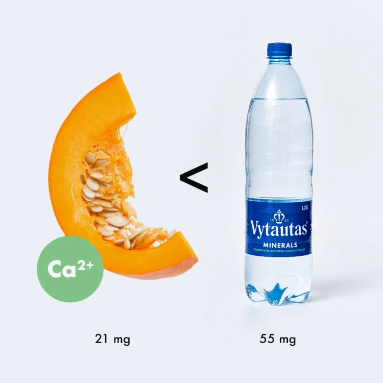 VYTAUTAS litewska woda mineralna gaz.1,0L PET z KAUCJĄ